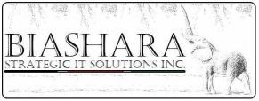 Biashara Strategic IT Solutions Inc.